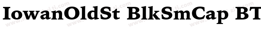 IowanOldSt BlkSmCap BT Black Small字体转换
